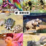 武汉溜娃好去处🔥孩子最爱‼️建议收藏㊙️