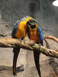 -Zoolung Zoolung动物主题公园(海信广场店)