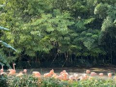 -南昌动物园