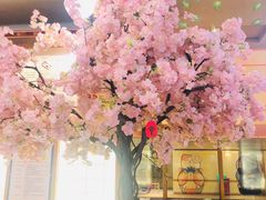 -汤泉良子(金源店)