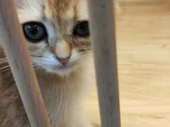 -中粮万科长阳半岛