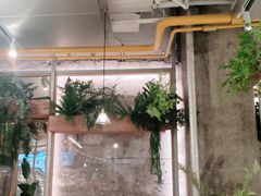 -老乡鸡(上海白玉兰广场店)