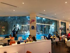 -帝企鹅自助餐厅•儿童岛•真企鹅(长隆企鹅酒店)