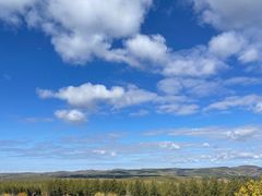 -塞罕坝国家级自然保护区