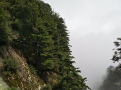 -洛阳白云山景区