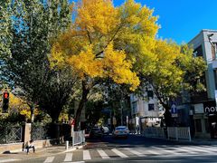 -天津五大道文化旅游区