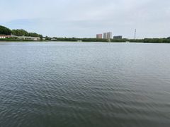 -大兴滨河森林公园