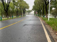 -漕湖湿地公园