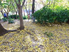 -秋霞圃