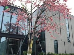 -星巴克(深圳前海企业公馆店)