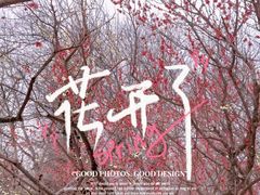 -梅花山(明孝陵内)