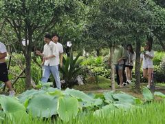 -洪湖家庭农场·团建·露营·会议