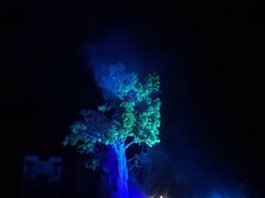 -婺源梦里老家大型山水实景演出