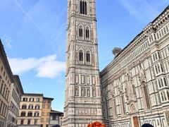 -圣母百花大教堂穹顶