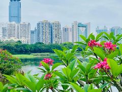 -南宁南湖公园