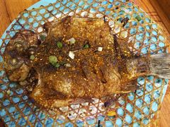 -鼎原力量东北吊炉烧烤(临河街店)