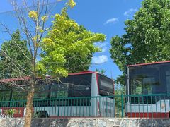 -北京西山国家森林公园