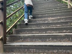 -广东天露山旅游度假区