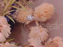 -I Do(镇江苏宁广场店)