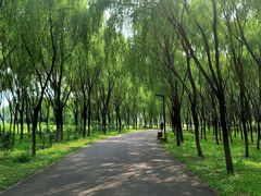 -东郊湿地公园