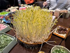 -巴倒烫陆派火锅山庄(南山总店)