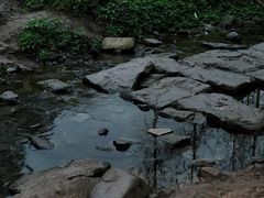 -重庆彩云湖湿地公园