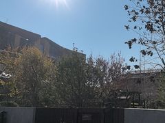 -白桦林温泉谷