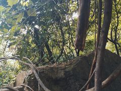 -天门沟九州驿站树上汤泉