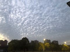 -水莲居(佛祖岭店)