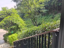 -尚圣月子会所·庄园式月子中心(萧山湘湖店)