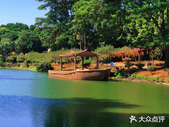 松山湖南湖湾露营营地图片