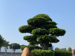 -石炮台公园
