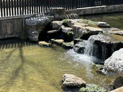-白水寺森林公园