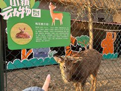 -枫叶小镇奥特莱斯