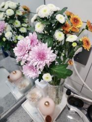 -靓芙泉专研痘痘肌