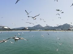 -海驴岛(荣成市)