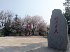 -铁山坪森林公园