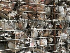 -济南国际园博园