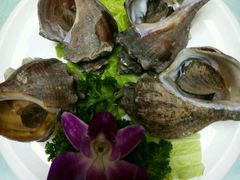 -小船渔村•大连菜•大连焖鱼(明泽街店)