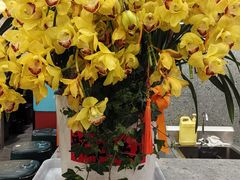 -金陵后厨·南京菜(新街口秣陵路店)