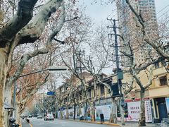 -上海理工大学(复兴路校区)