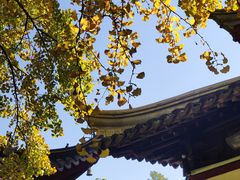 -西园戒幢律寺