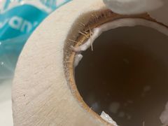 -椰不二(江北大洋百货店)