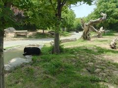 -郑州银基黄帝宫御温泉