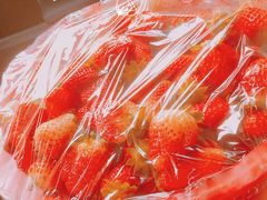 -江杨农产品批发市场