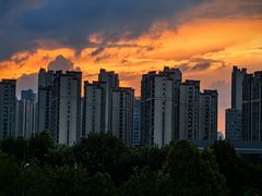 -荷兰街