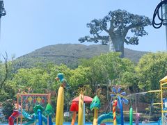 -苏州乐园森林水世界