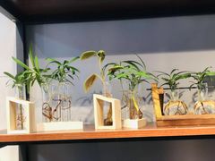 -何兮花店·气球派对鲜花店(马桥银春路万科城店)