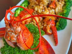 焗龙虾-重庆万豪中餐厅·Man Ho