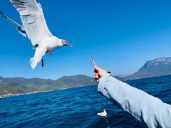 -丽江泸沽湖景区